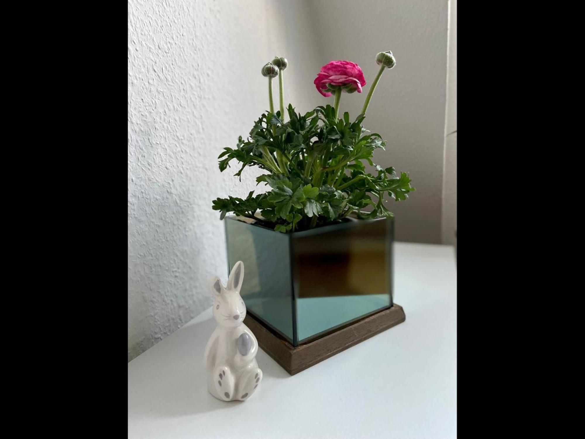Neu Ferienwohnung فالسروده المظهر الخارجي الصورة