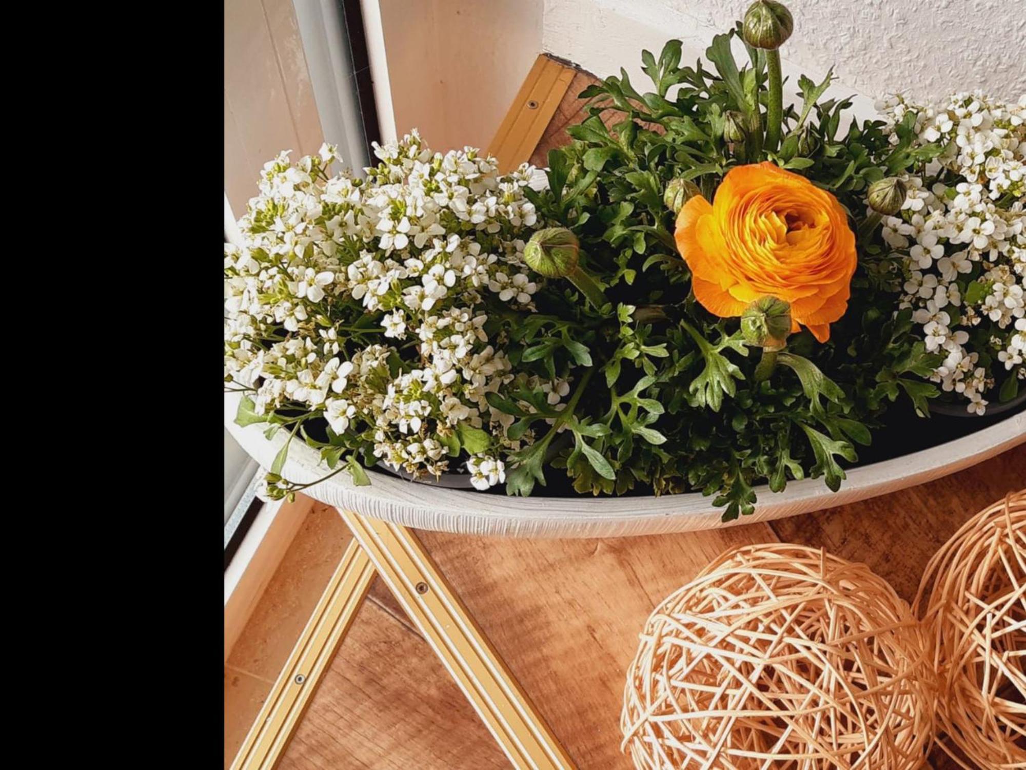 Neu Ferienwohnung فالسروده المظهر الخارجي الصورة